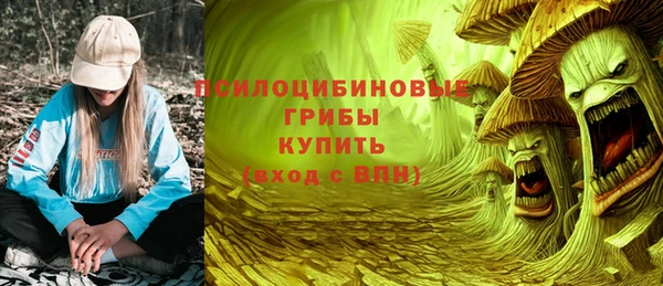 ГАЛЛЮЦИНОГЕННЫЕ ГРИБЫ Алексин