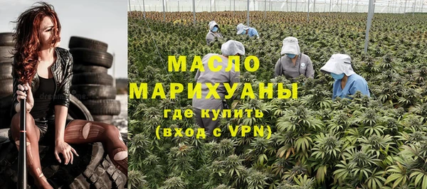 стаф Каменка