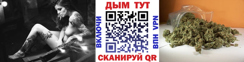 Шишки марихуана OG Kush Брянск